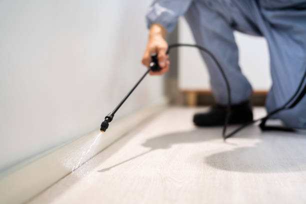 Licensed Cockroach Control service in Bethany, IL - Nex Pest Control