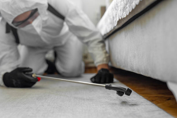 Professional Cockroach Control technician working in Bethany, IL