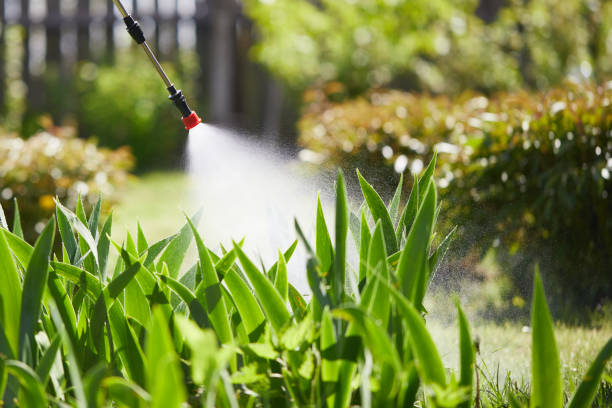 24/7 Emergency Cockroach Control experts in Bethany, IL