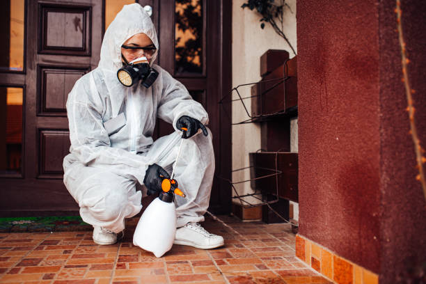 Reliable Cockroach Control contractor in Bethany, IL by Nex Pest Control
